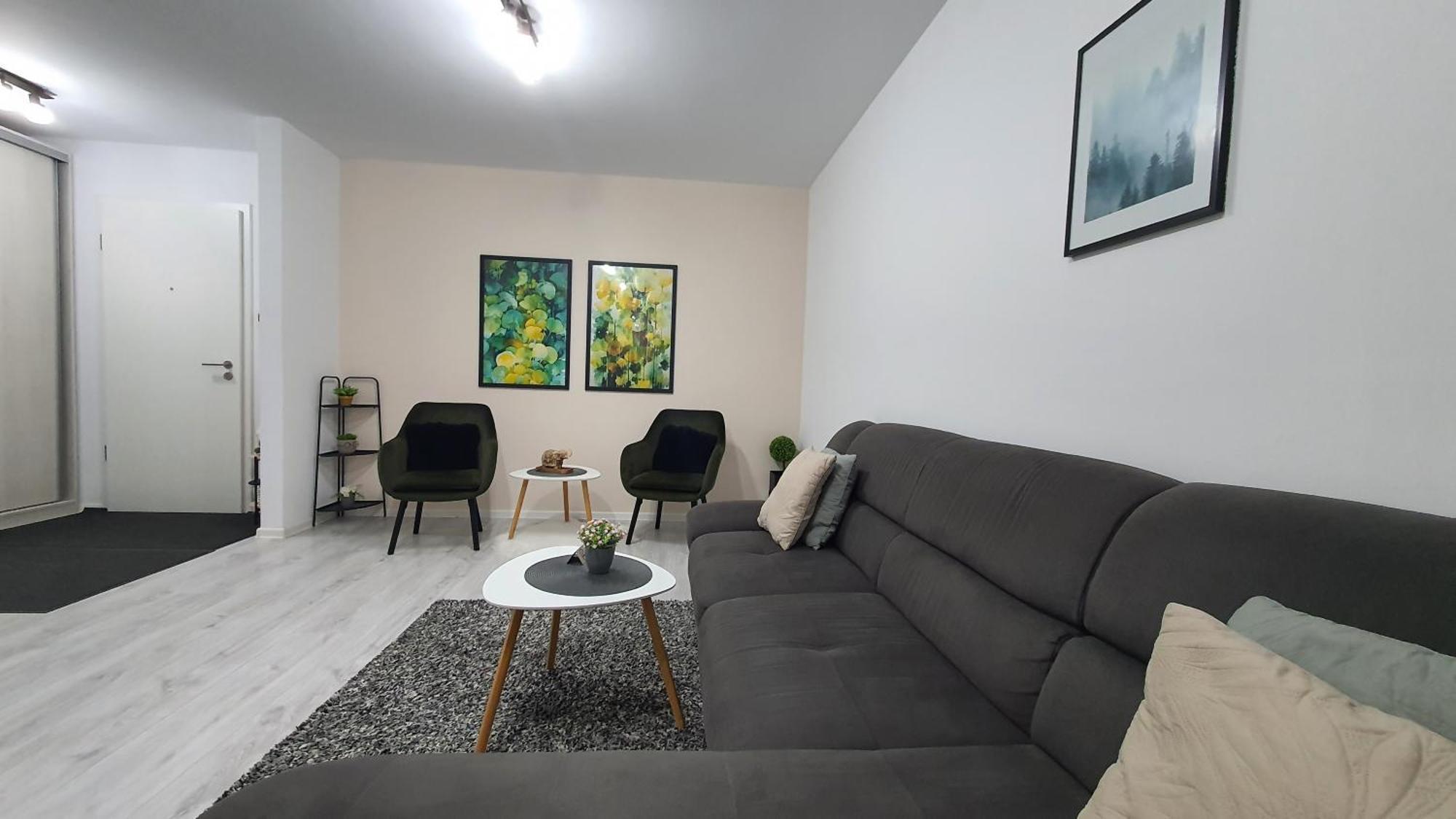 Green Apartment Coresi Брашов Екстер'єр фото